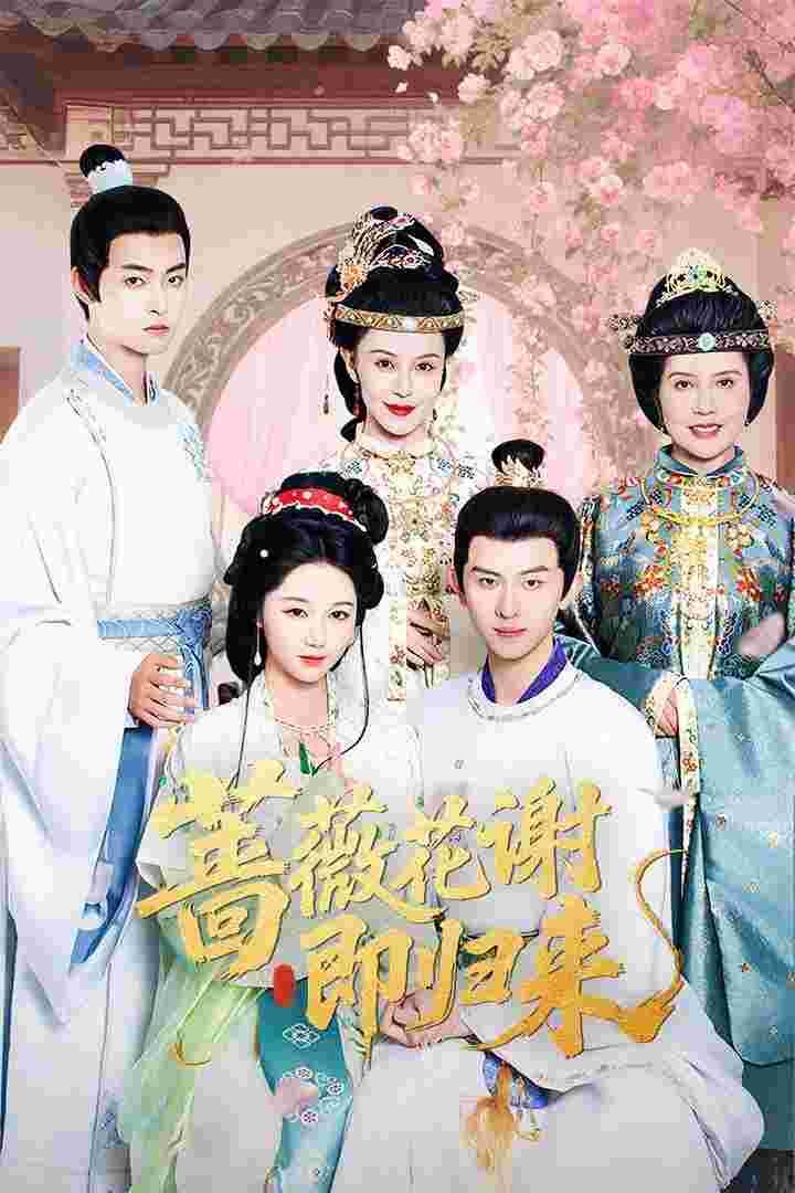 封面图片