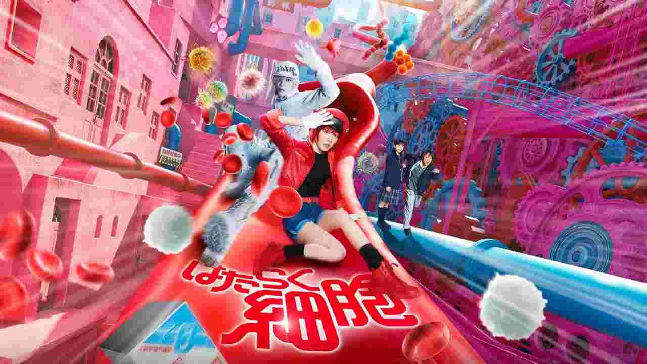 封面图片