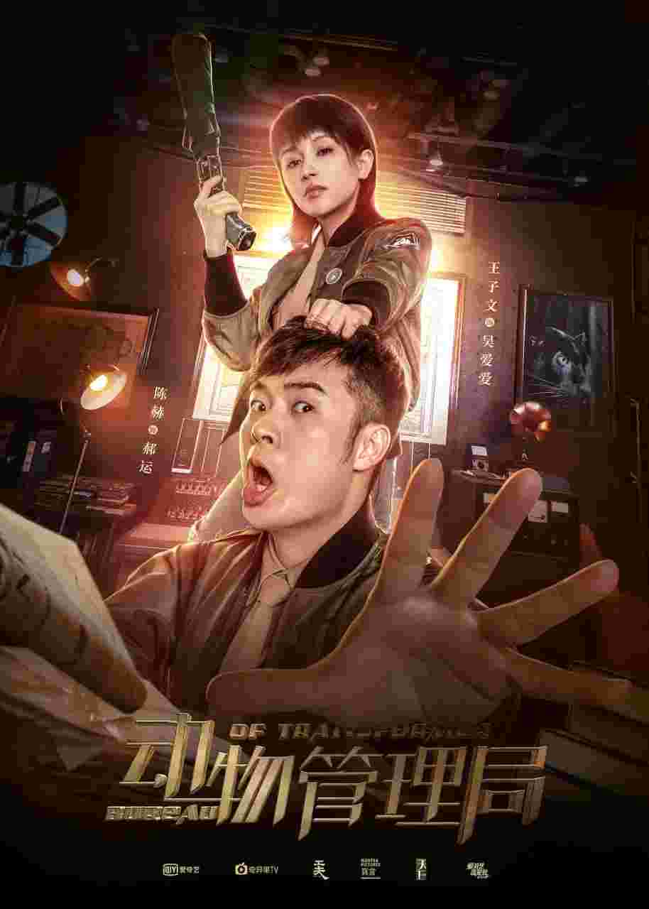 封面图片