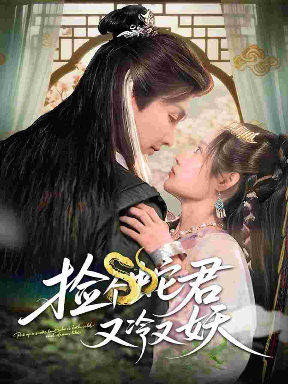 封面图片