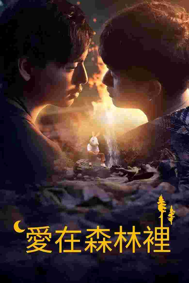 封面图片