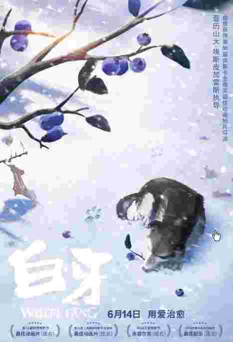 封面图片