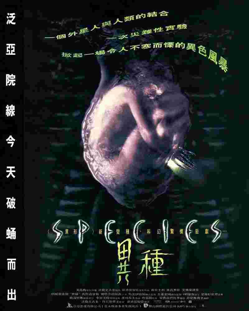 封面图片