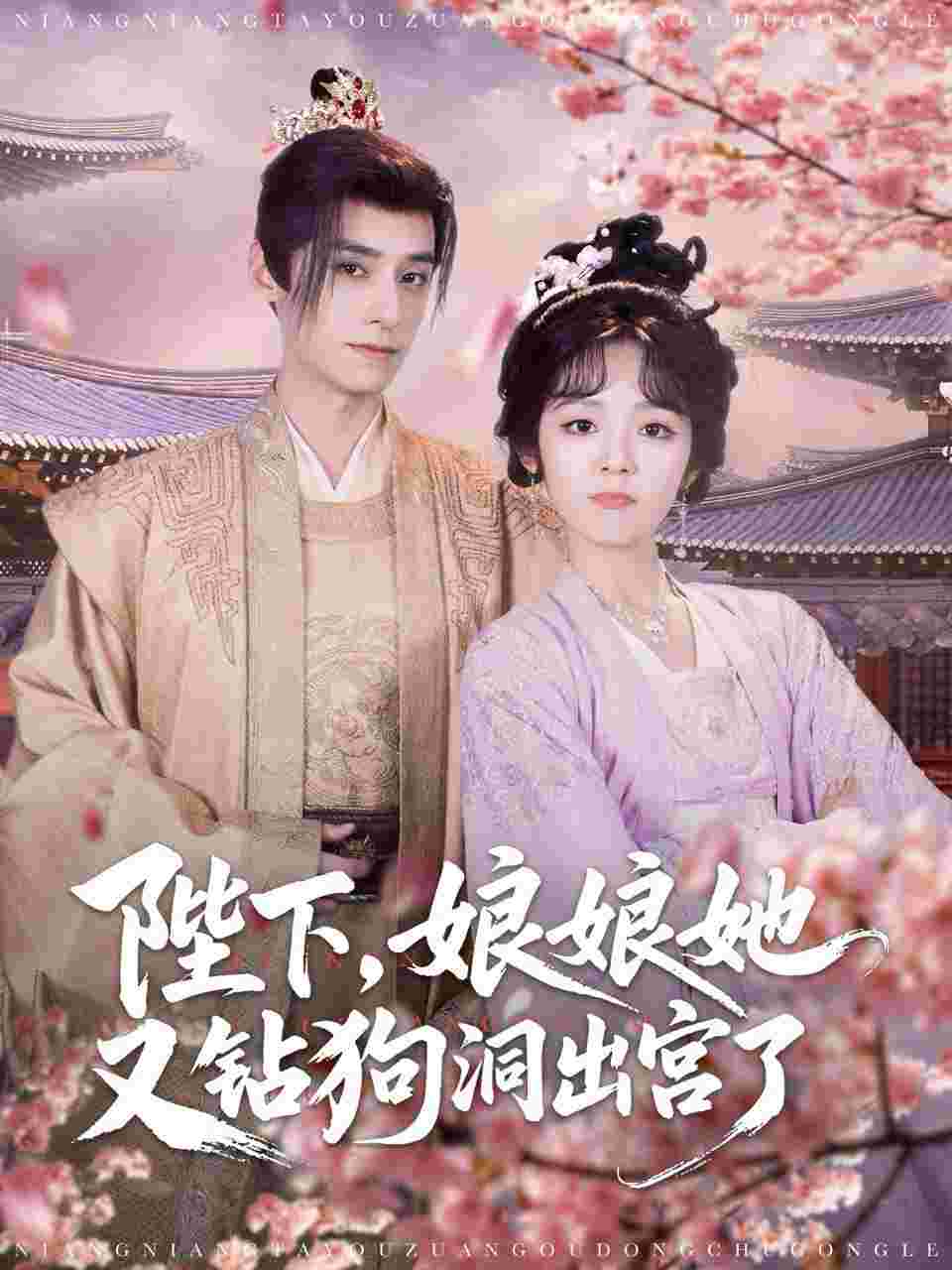 封面图片