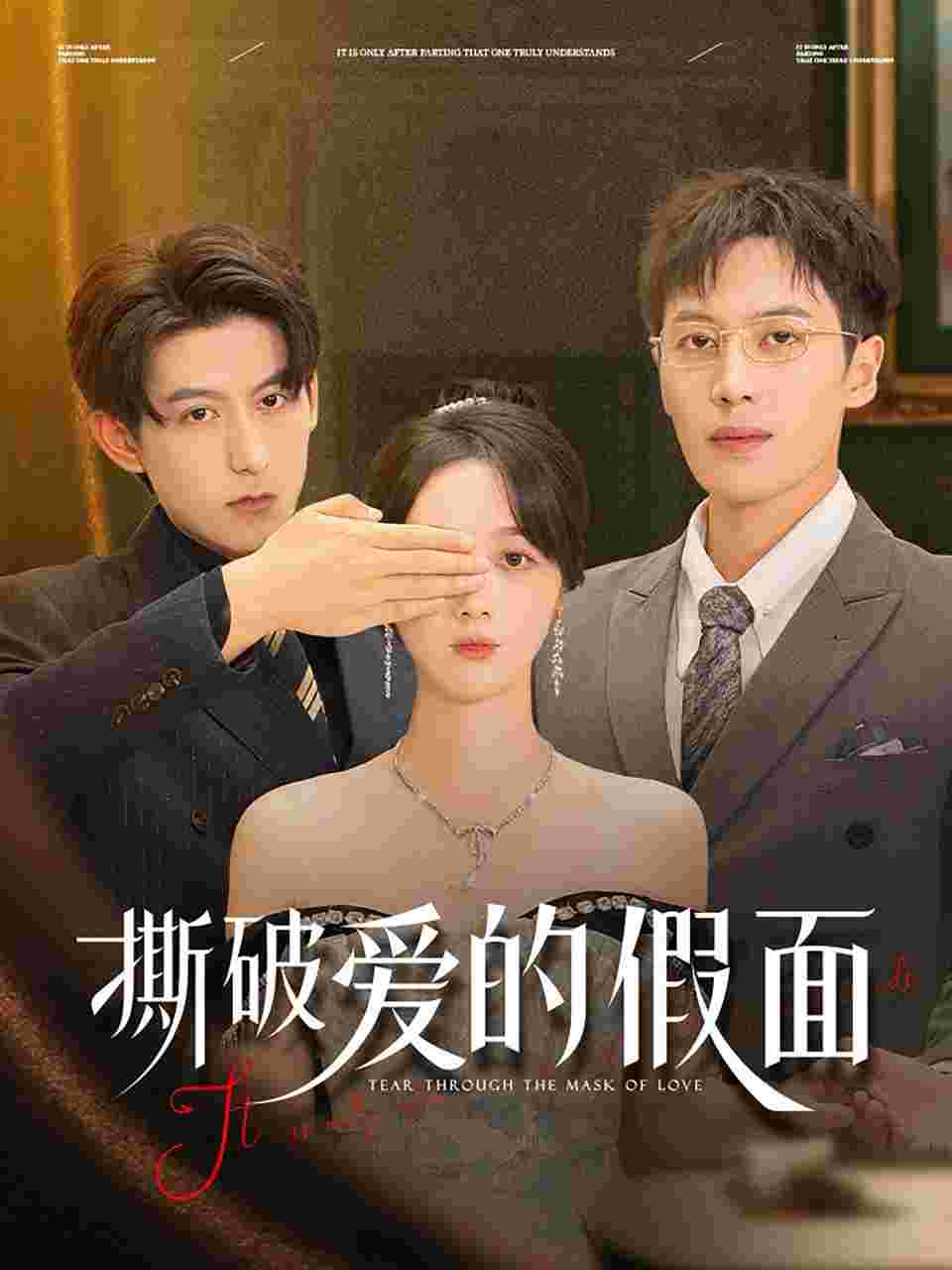 封面图片