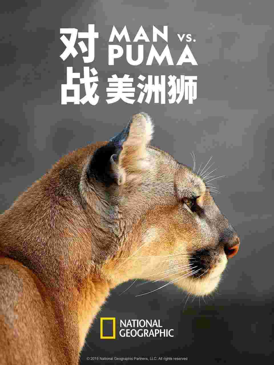 封面图片