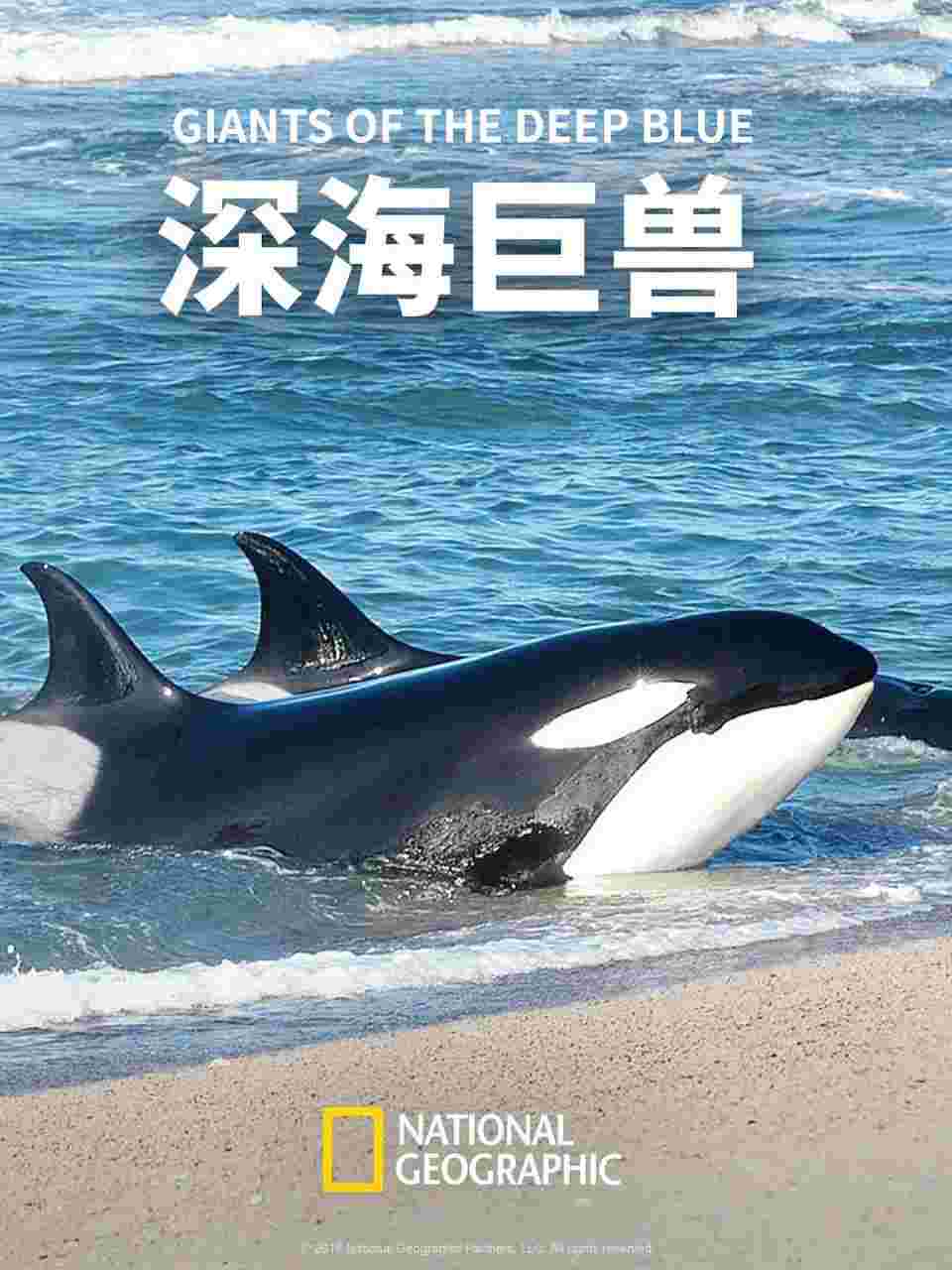 封面图片