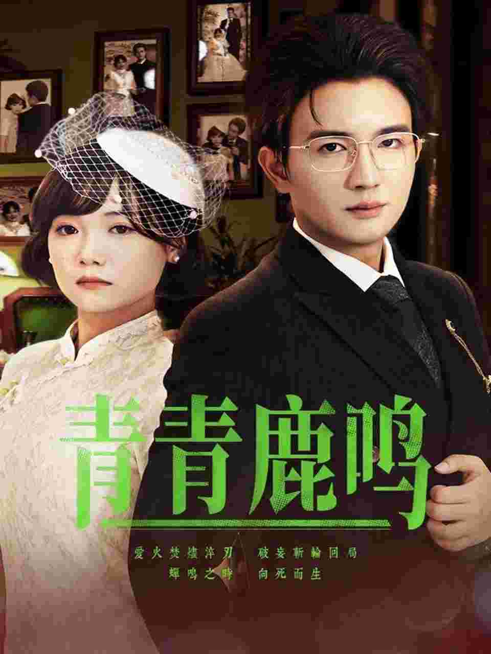 封面图片