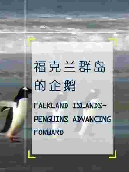 封面图片
