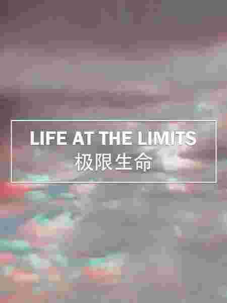 封面图片