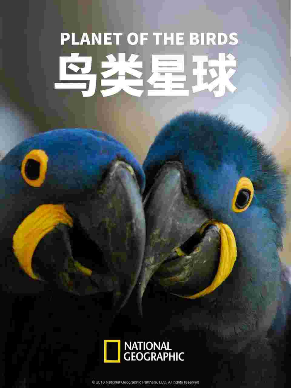 封面图片