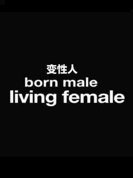 封面图片