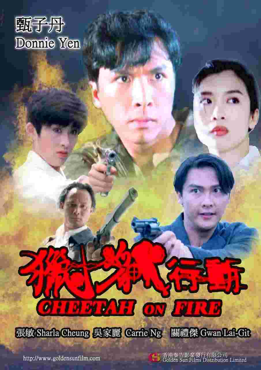 封面图片