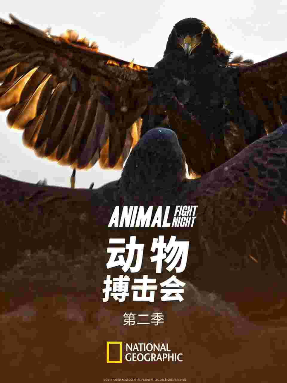 动物搏击会 第二季 Animal Fight Club Season 2