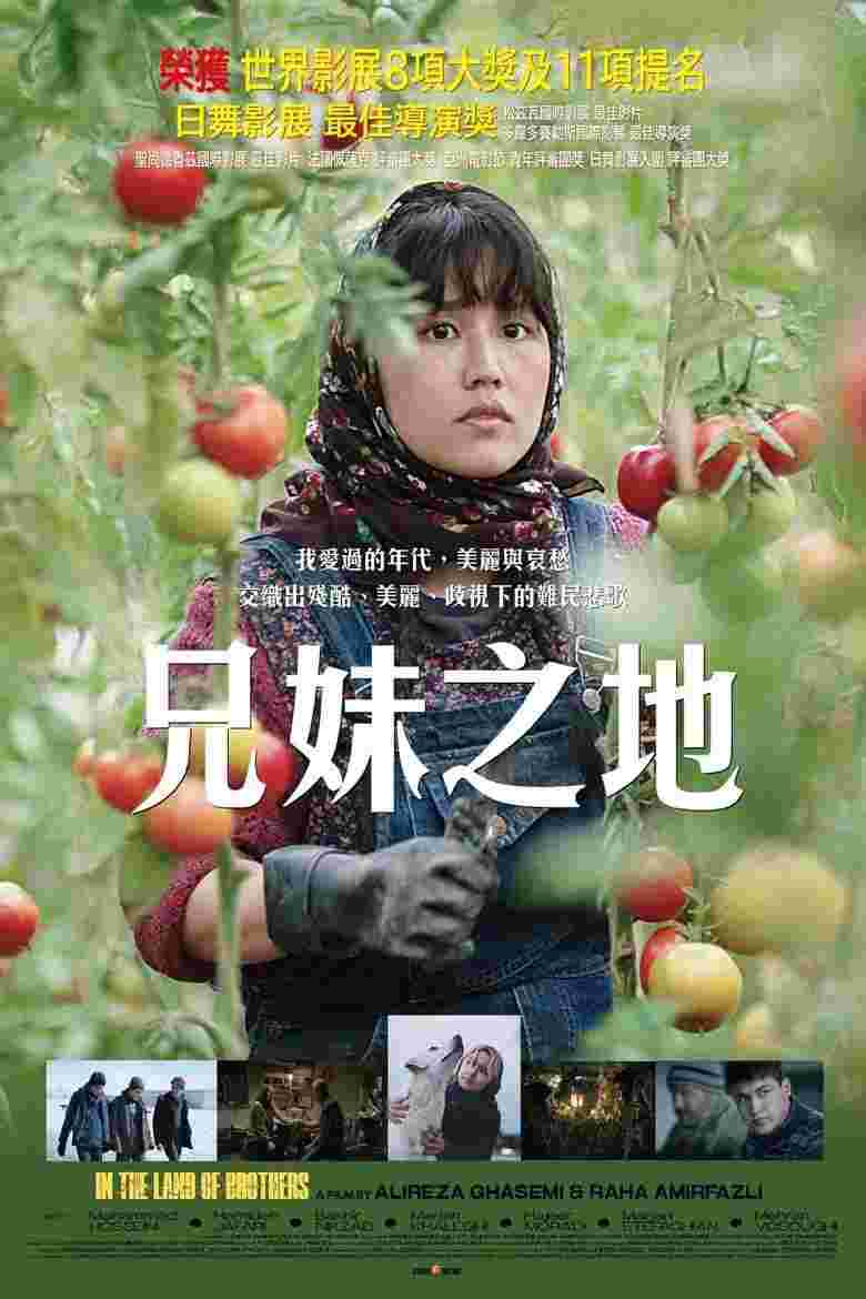 封面图片