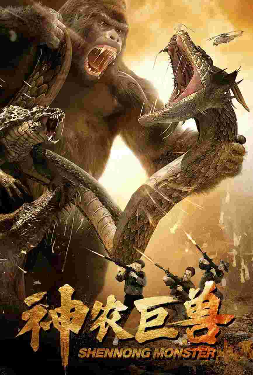封面图片