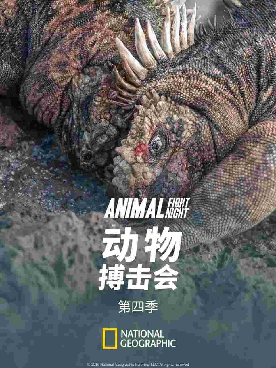 封面图片