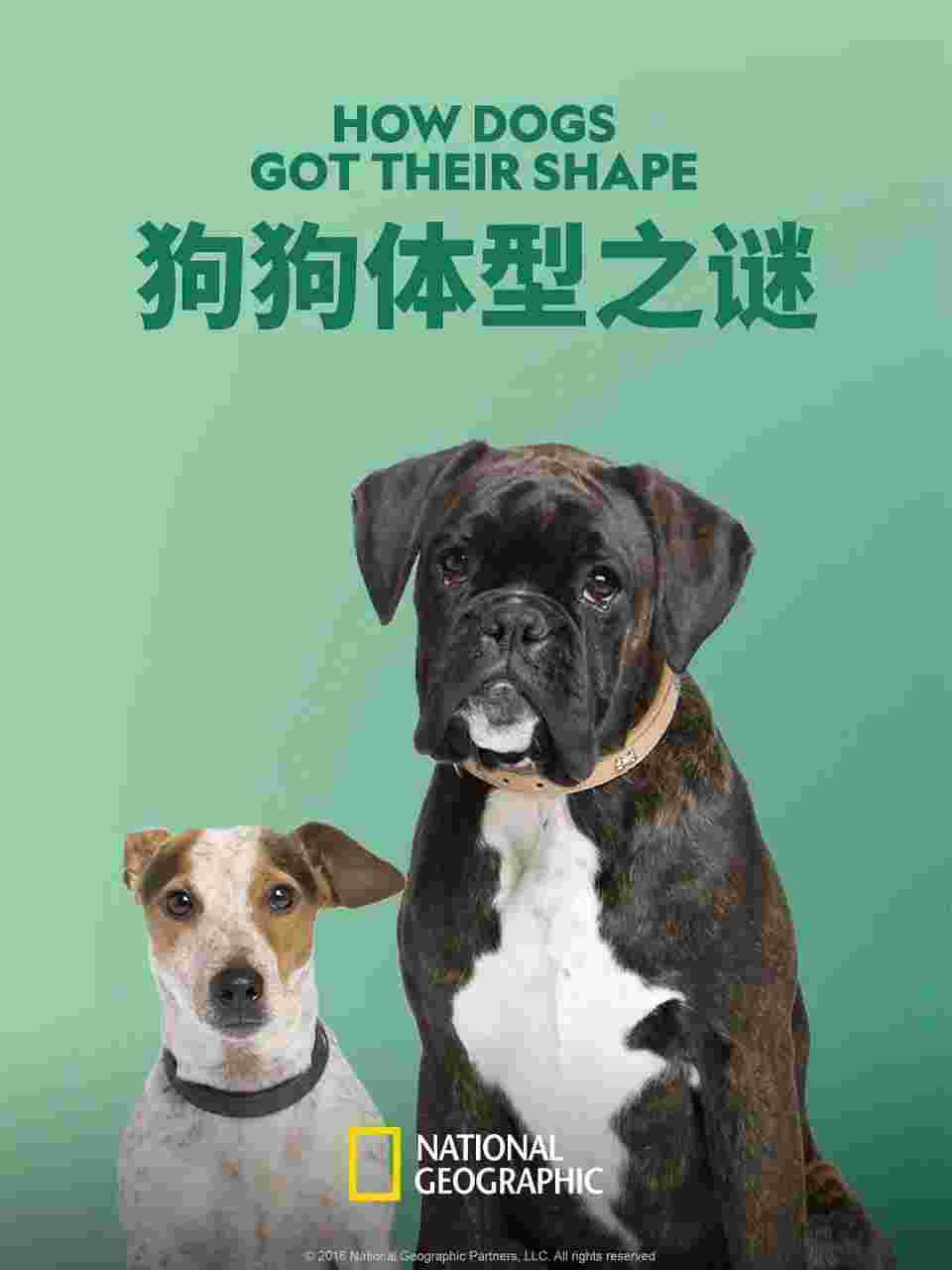 封面图片