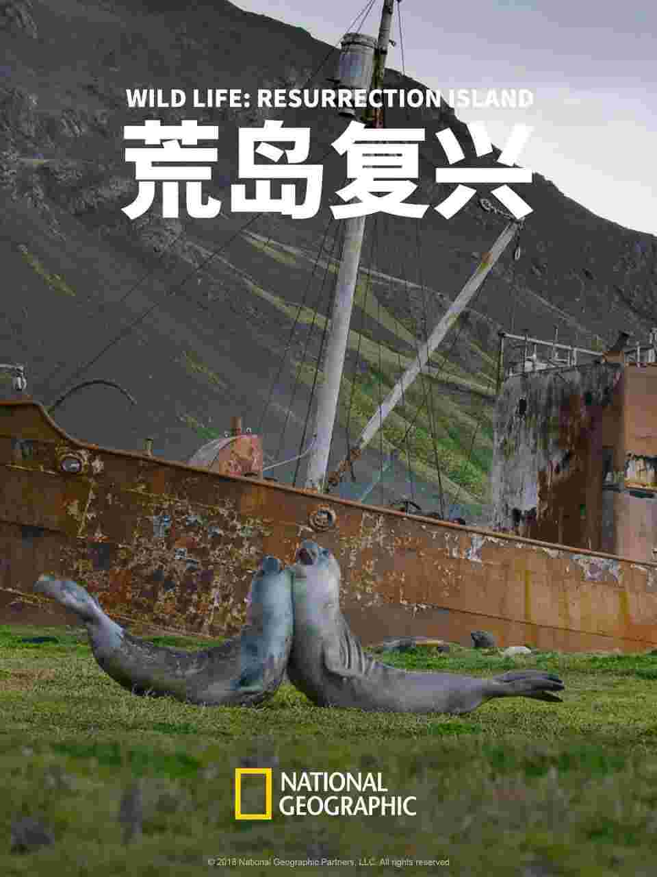 封面图片