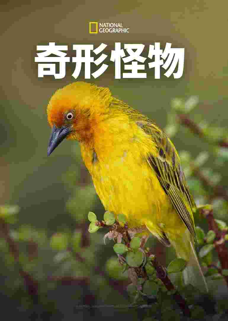 封面图片