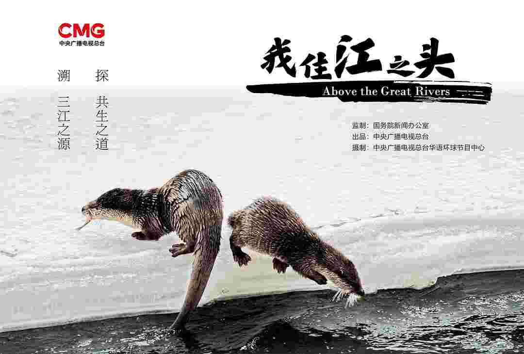 封面图片