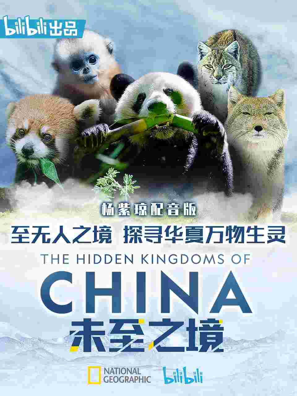封面图片