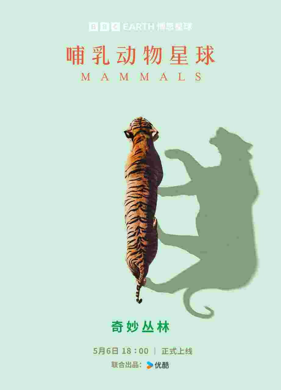 封面图片