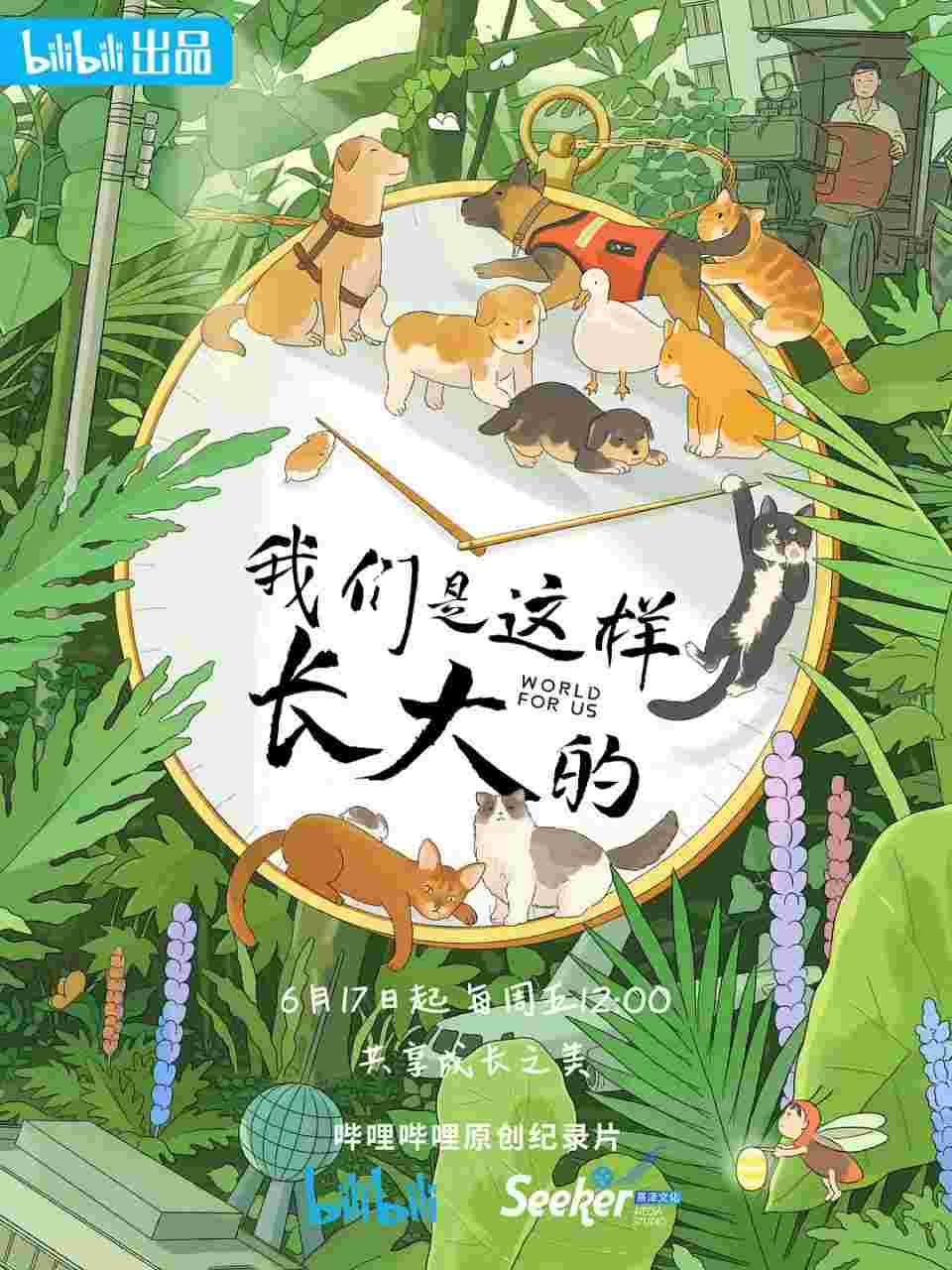 封面图片
