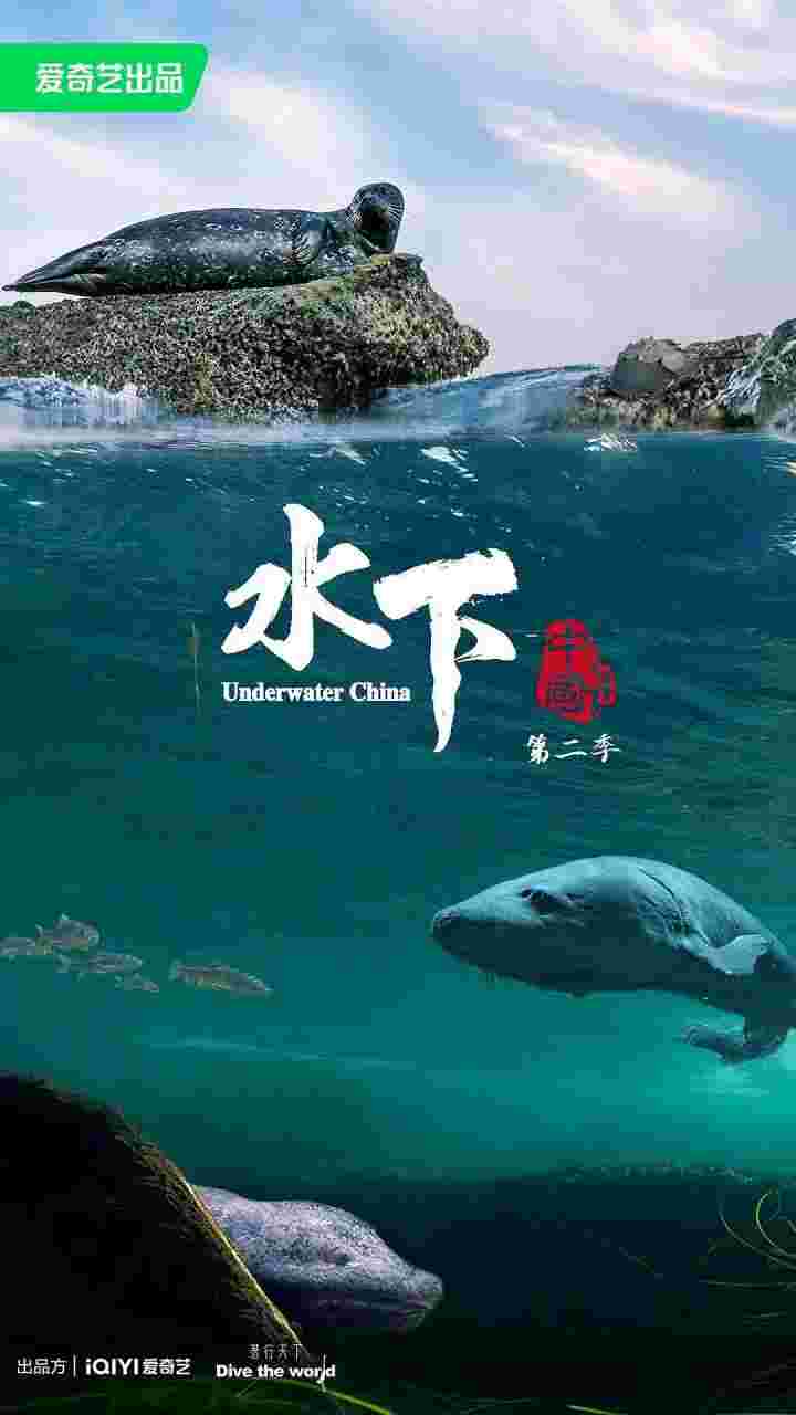 封面图片