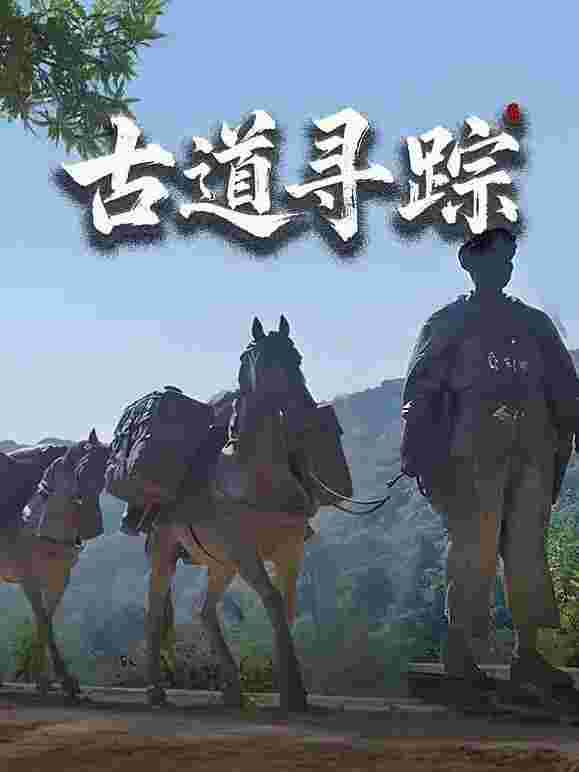 封面图片