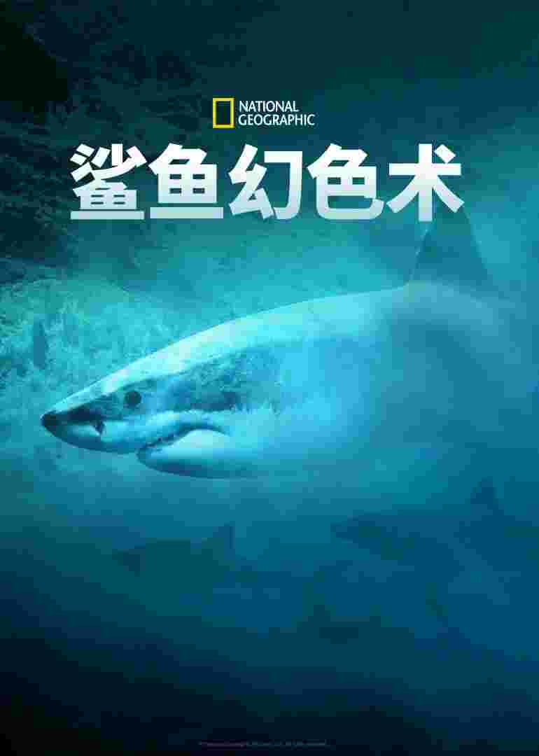 封面图片