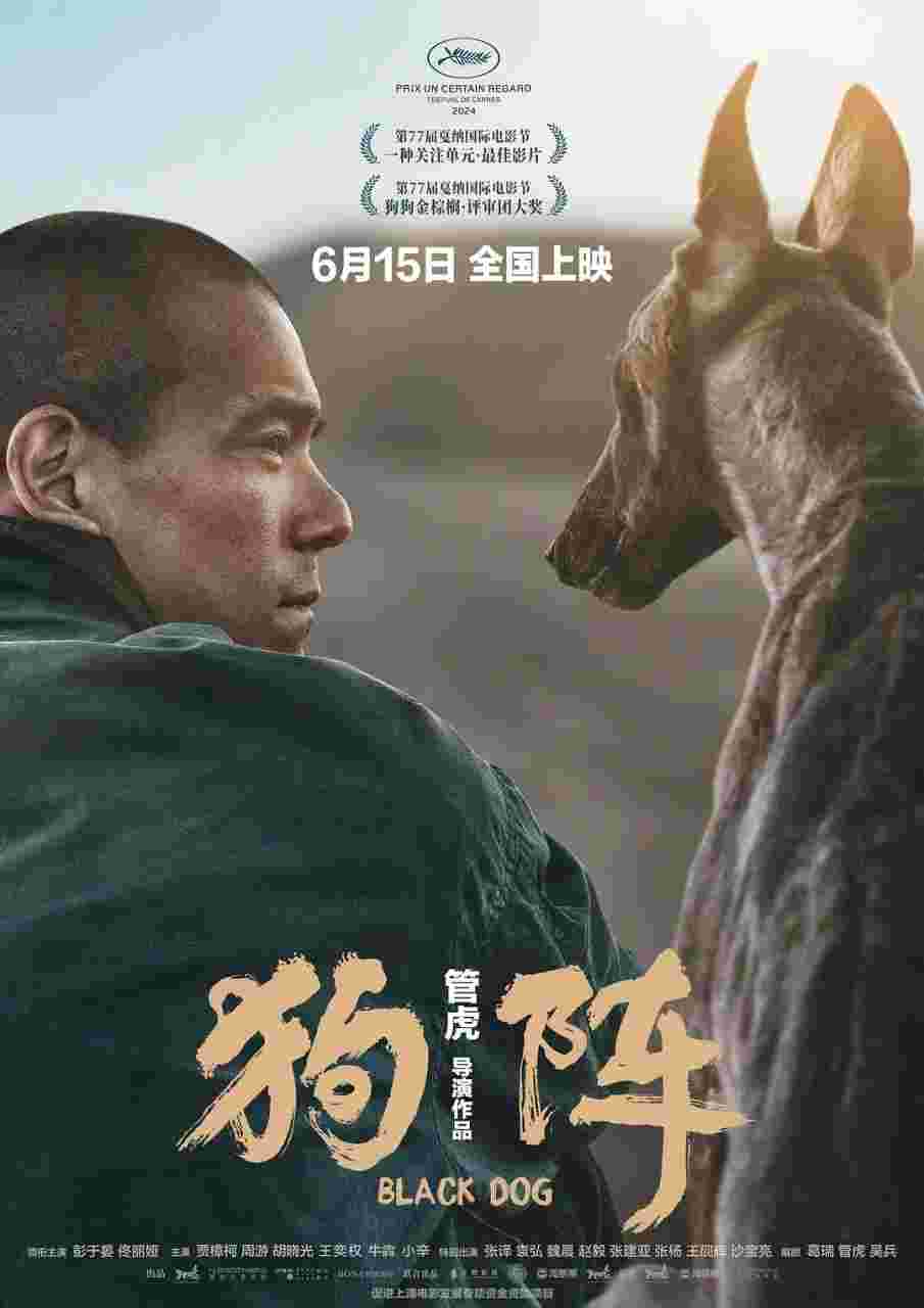封面图片