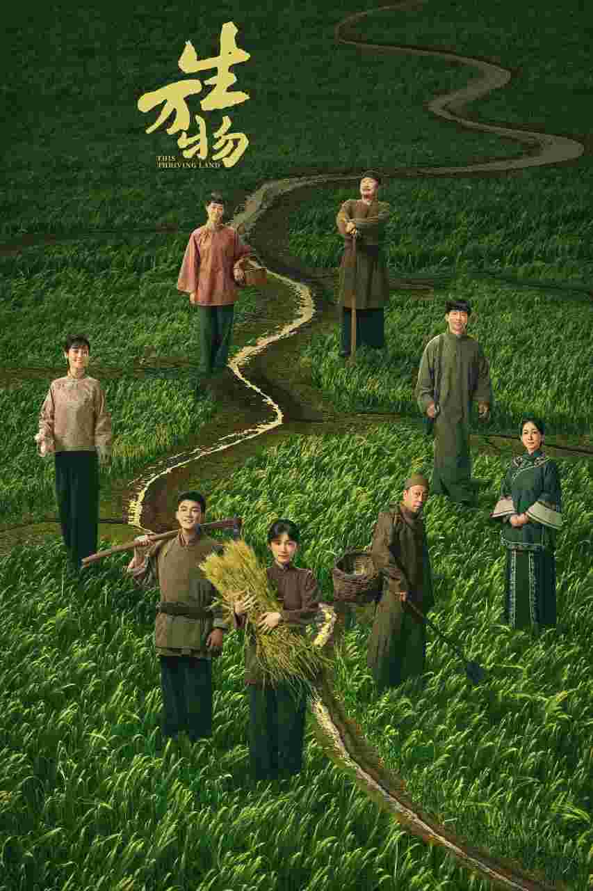封面图片