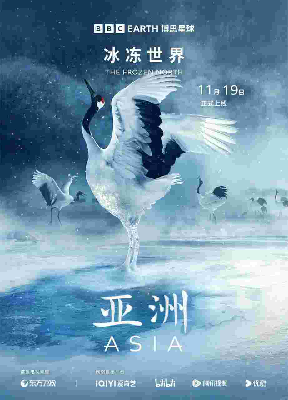 封面图片