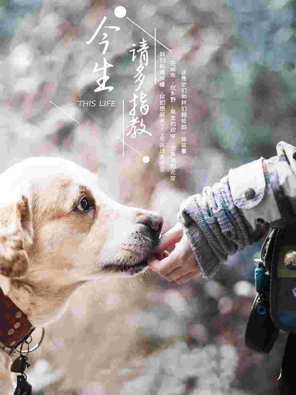 封面图片