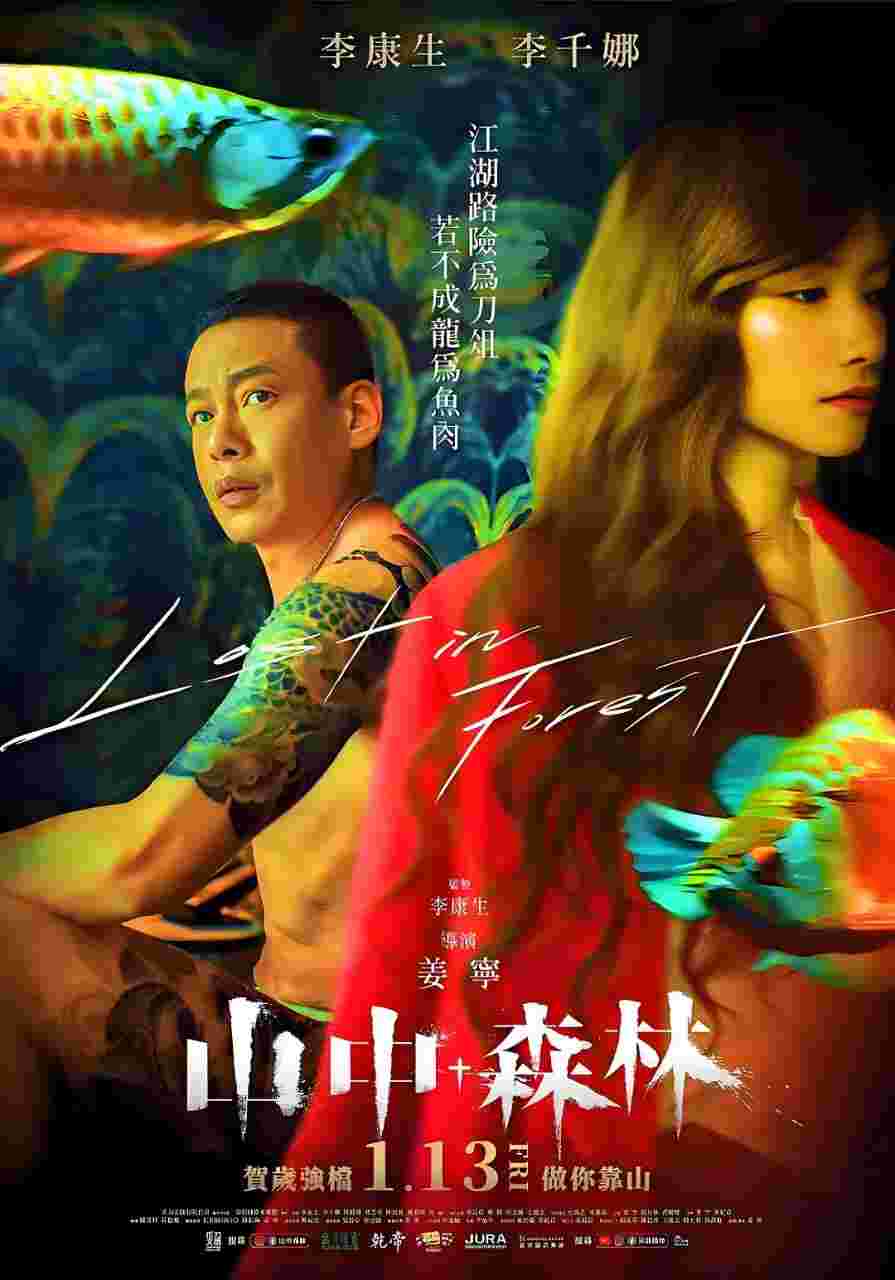 封面图片