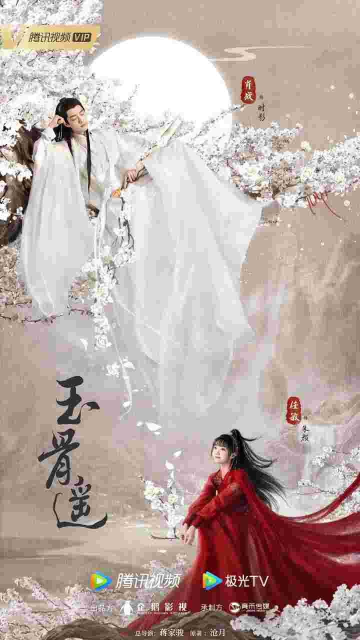 封面图片