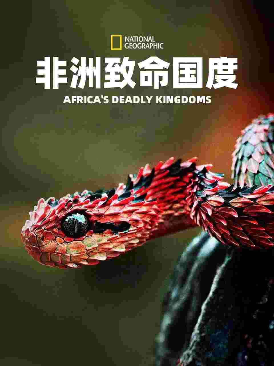 封面图片