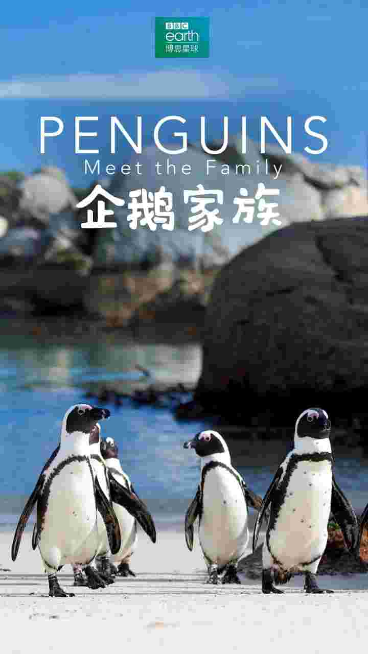 封面图片