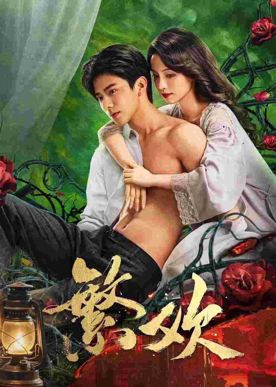 封面图片