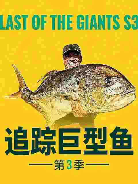 封面图片