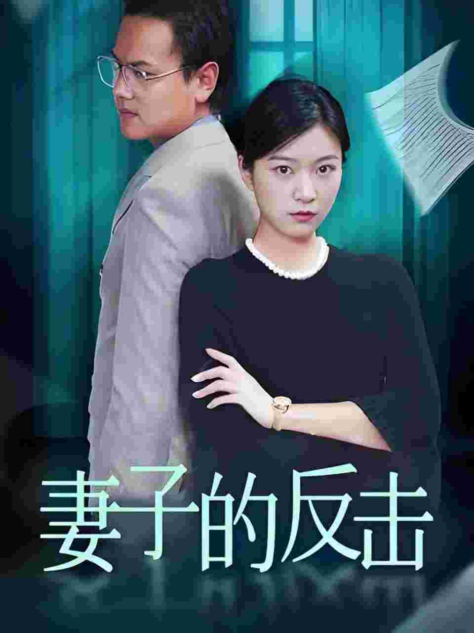妻子的反击