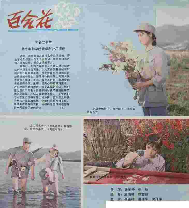 百合花