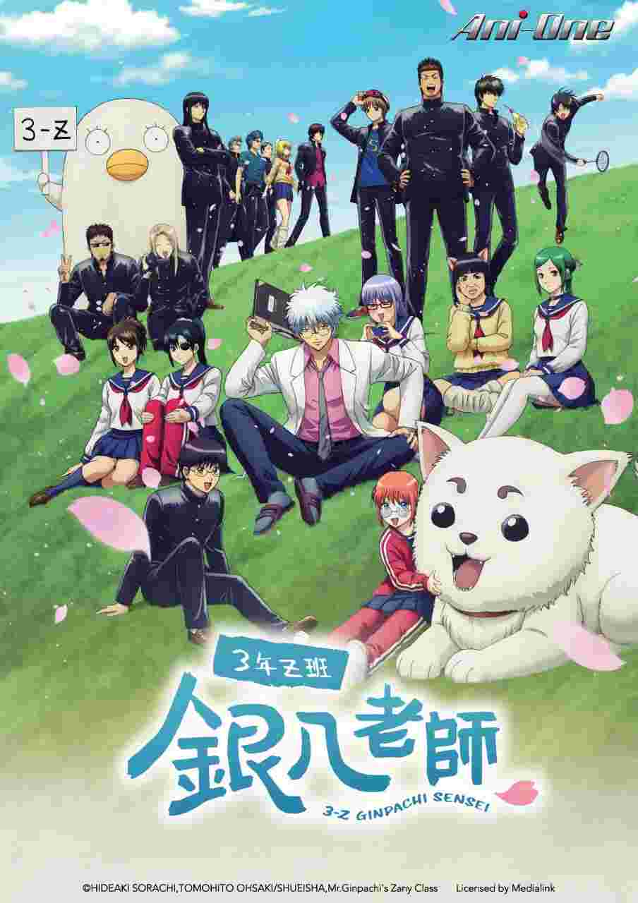 3年Z组银八老师