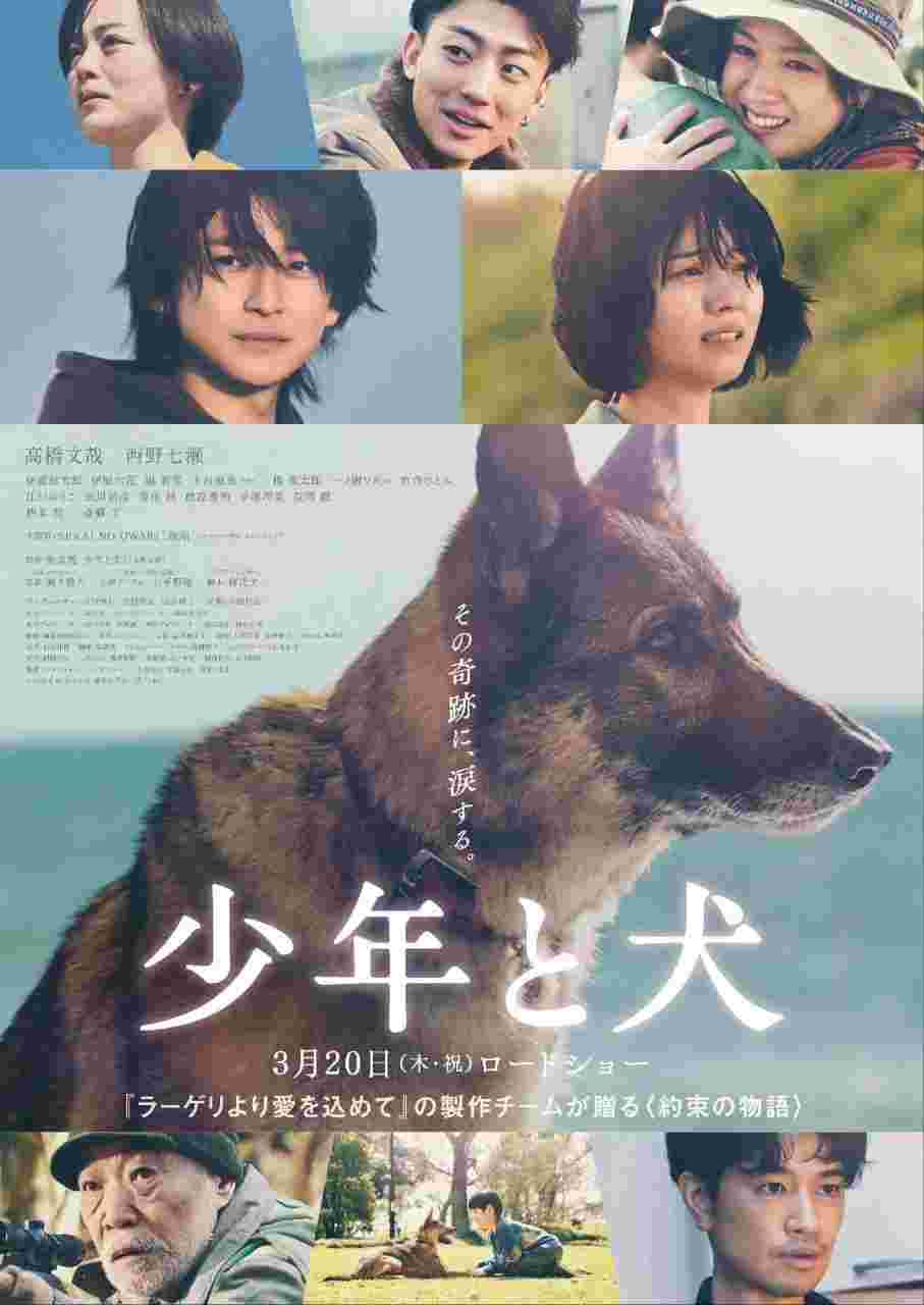 少年与犬