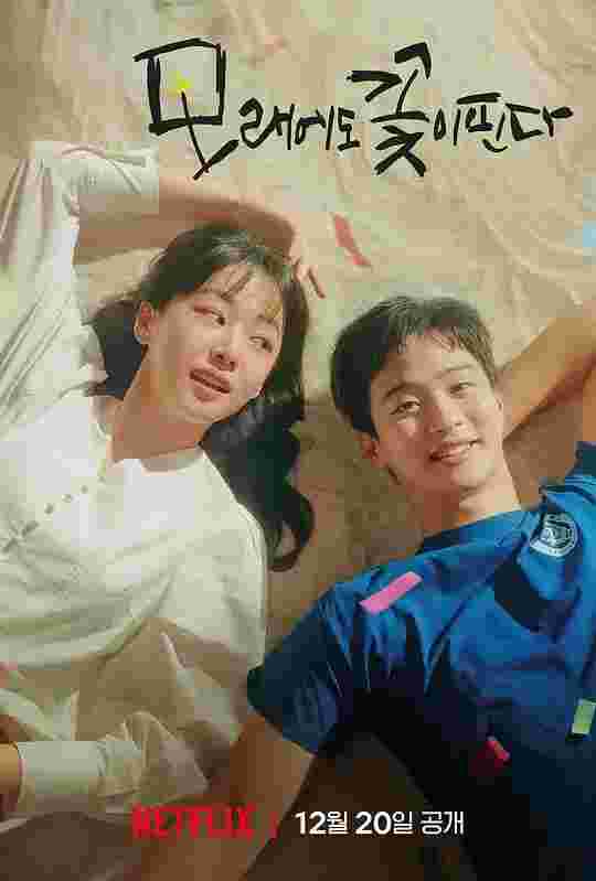 封面图片