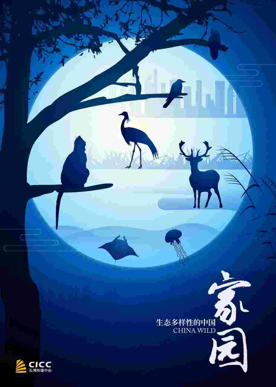 封面图片