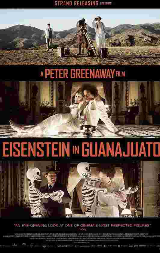 爱森斯坦在瓜纳华托