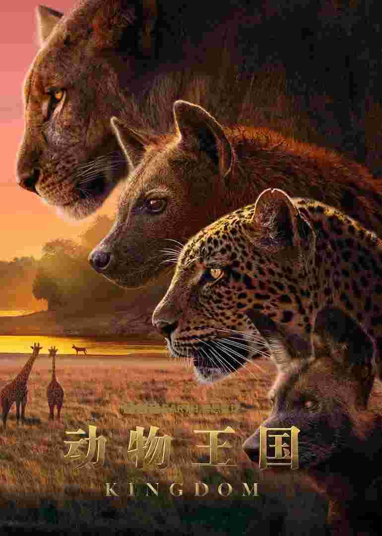 动物王国