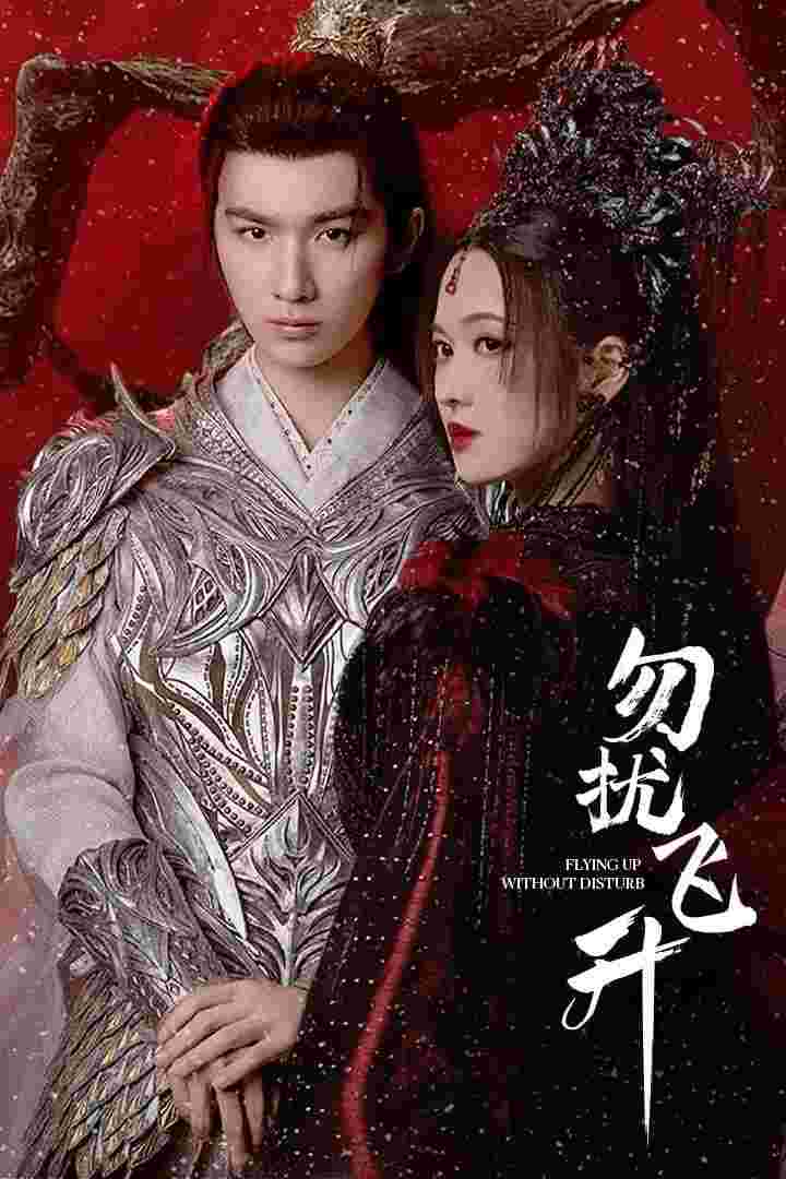 勿扰飞升
